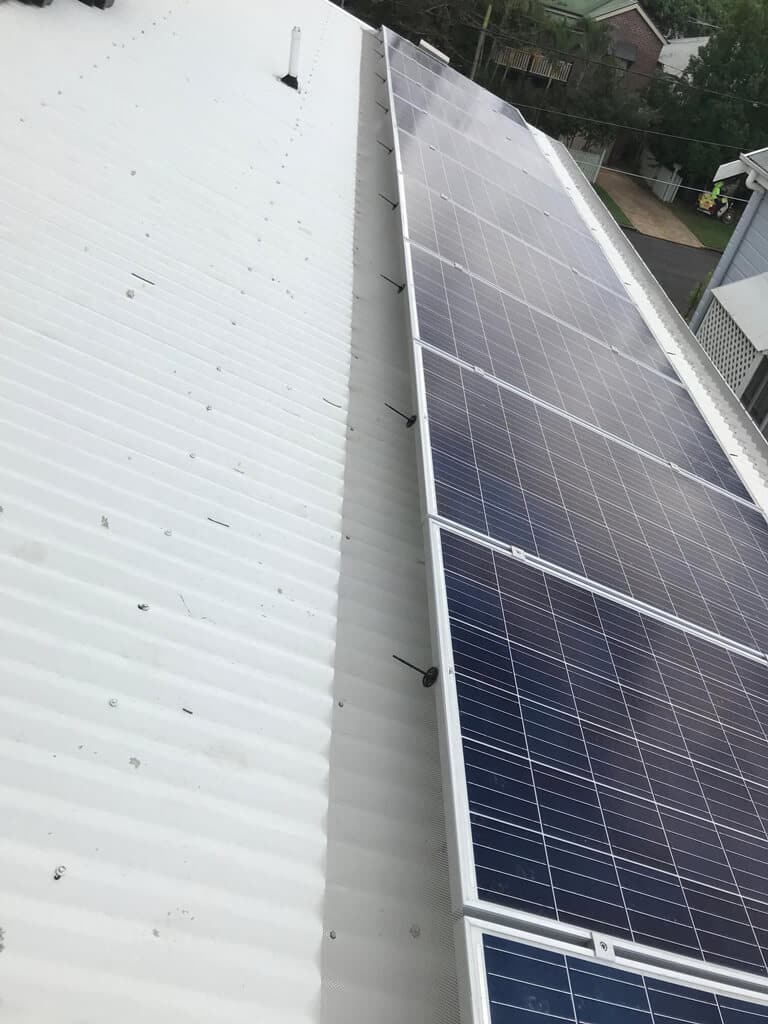 GK-Bird-Proofing-1 GK Bird Proofing 1